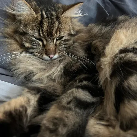 Willa Mes Dans La Garrigue Vacquières